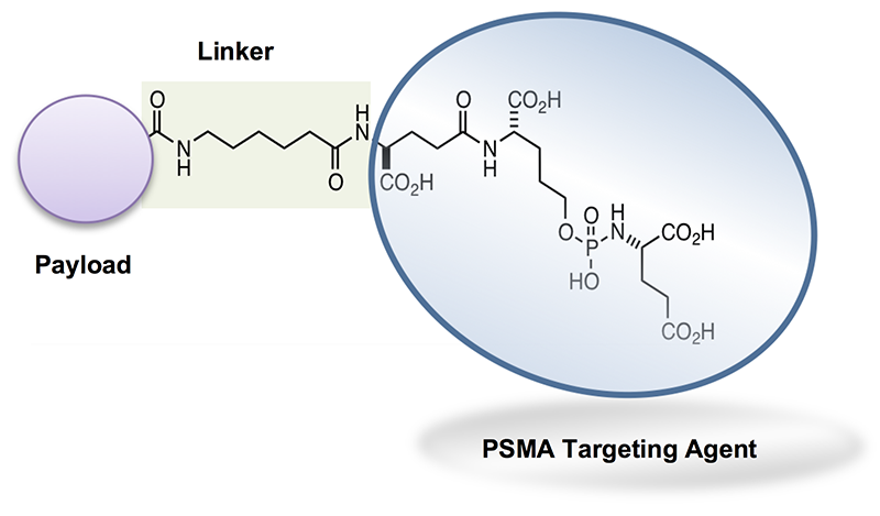 PSMA linker image